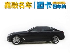 BMW 5 Series 530Li Luxury M Sport Package - ფოტო 7