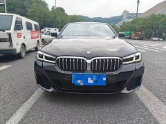 BMW 5 Series 530Li Luxury M Sport Package - ფოტო 8