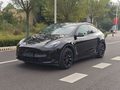 Tesla Model Y 2022 Facelift Rear-Wheel Drive - ფოტო 16