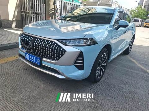 2021 WEY Mocha 2.0T Two-Wheel Drive Premium Edition