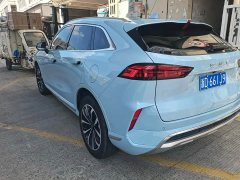 Great Wall WEY Mocha 2.0T Two-Wheel Drive Premium Edition - ფოტო 4