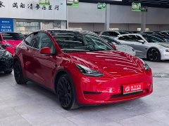 Tesla Model Y Rear-Wheel Drive - ფოტო 3