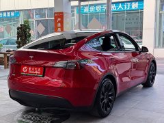 Tesla Model Y Rear-Wheel Drive - ფოტო 7