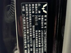 Wuling Xingguang 70 Standard - ფოტო 19