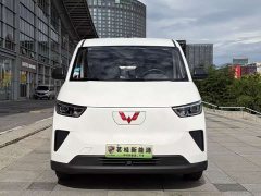Wuling Yangguang 230km Practical Enclosed Window Version 60kW - ფოტო 2