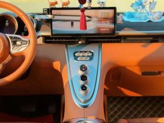 ORA Lightning Cat 555km Deluxe Edition - ფოტო 16