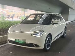 Dongfeng Nano 01 2024 330 Plus - ფოტო 1