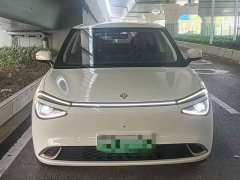 Dongfeng Nano 01 2024 330 Plus - ფოტო 2