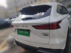 Haval Xiaolong MAX 1.5L Hi4 105 AWD Leading Edition - ფოტო 3