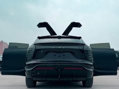 HiPhi X 2021 Founder Edition 6-Seater - ფოტო 12