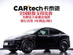 Tesla Model Y Rear-Wheel Drive - ფოტო 3