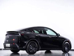 Tesla Model Y Rear-Wheel Drive - ფოტო 6