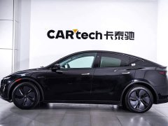 Tesla Model Y Rear-Wheel Drive - ფოტო 8