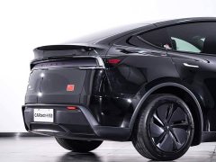 Tesla Model Y Rear-Wheel Drive - ფოტო 9