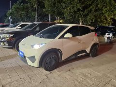 BYD Seagull 305km Vitality Edition - ფოტო 1