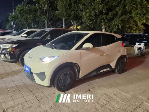 2025 BYD Seagull 305km Vitality Edition - ავტომობილი ჩინეთიდან