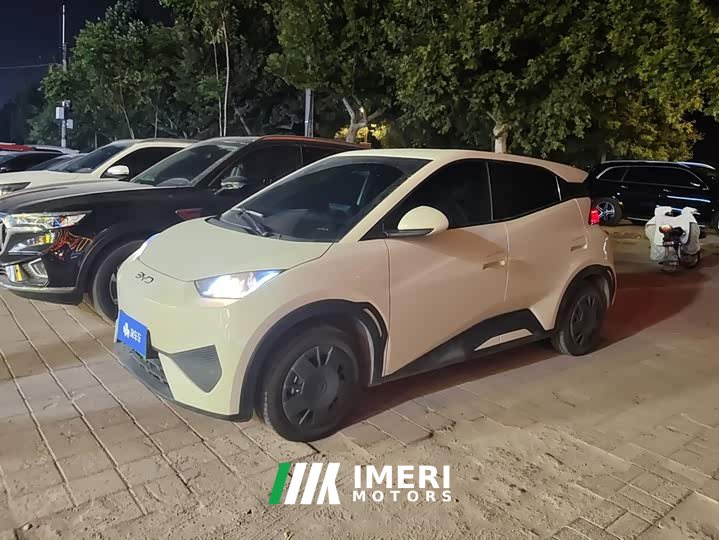 BYD Seagull 305km Vitality Edition