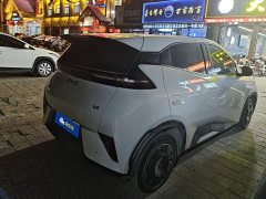 BYD Seagull 305km Vitality Edition - ფოტო 3