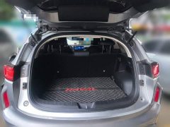 Haval Chitu Jingxiang Edition 1.5T Purple Copper Rabbit - ფოტო 15
