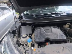 Haval Chitu Jingxiang Edition 1.5T Purple Copper Rabbit - ფოტო 20