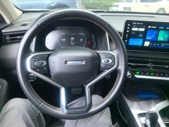 Haval Chitu Jingxiang Edition 1.5T Purple Copper Rabbit - ფოტო 6