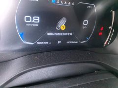 Haval Chitu Jingxiang Edition 1.5T Purple Copper Rabbit - ფოტო 8