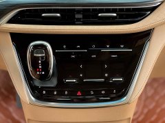 Buick GL8 2022 ES Land Respect 653T Premier - ფოტო 14