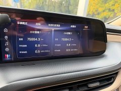 Buick GL8 New Energy Luushang Advance Edition - ფოტო 13