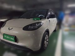 Wuling Binguo 333km Joy Edition - ფოტო 1