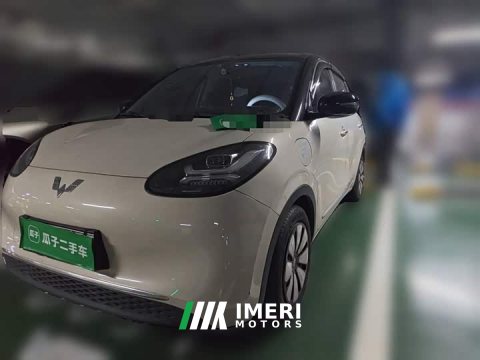 2024 Wuling Binguo 333km Joy Edition - ავტომობილი ჩინეთიდან