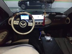 Wuling Binguo 333km Joy Edition - ფოტო 10