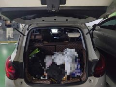 Wuling Binguo 333km Joy Edition - ფოტო 20