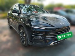 BYD Song Plus New Energy 2025 DM-i 160KM Flagship - ფოტო 3