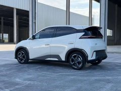 BYD Seagull Glory Edition 305km Freedom Version - ფოტო 6
