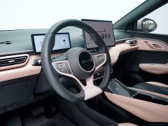 BYD Seagull 305km Freedom Edition - ფოტო 13