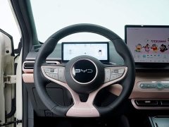 BYD Seagull 305km Freedom Edition - ფოტო 14