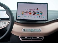 BYD Seagull 305km Freedom Edition - ფოტო 15