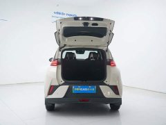 BYD Seagull 305km Freedom Edition - ფოტო 19