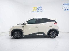 BYD Seagull 305km Freedom Edition - ფოტო 8