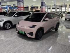 BYD Seagull Smart Drive 305km Vitality Edition - ფოტო 1