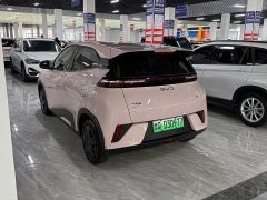 BYD Seagull Smart Drive 305km Vitality Edition - ფოტო 10