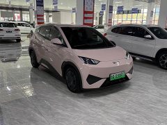 BYD Seagull Smart Drive 305km Vitality Edition - ფოტო 3