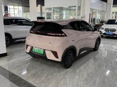 BYD Seagull Smart Drive 305km Vitality Edition - ფოტო 8