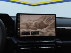 Haval Big Dog PLUS 2023 1.5T Two-Wheel Drive Trendy Wilderness Edition Plus - ფოტო 13