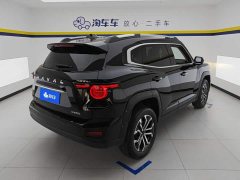 Haval Big Dog PLUS 2023 1.5T Two-Wheel Drive Trendy Wilderness Edition Plus - ფოტო 3
