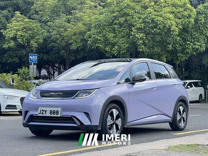 BYD Dolphin 420km Fashion Edition - ავტომობილი ჩინეთიდან