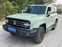 Tank 300 Urban Edition 2.0T Essential - ფოტო 1