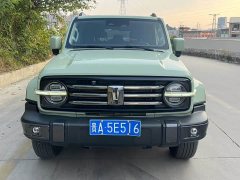 Tank 300 Urban Edition 2.0T Essential - ფოტო 2