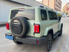 Tank 300 Urban Edition 2.0T Essential - ფოტო 9