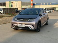BYD Dolphin 405km Fashion Edition - ფოტო 1